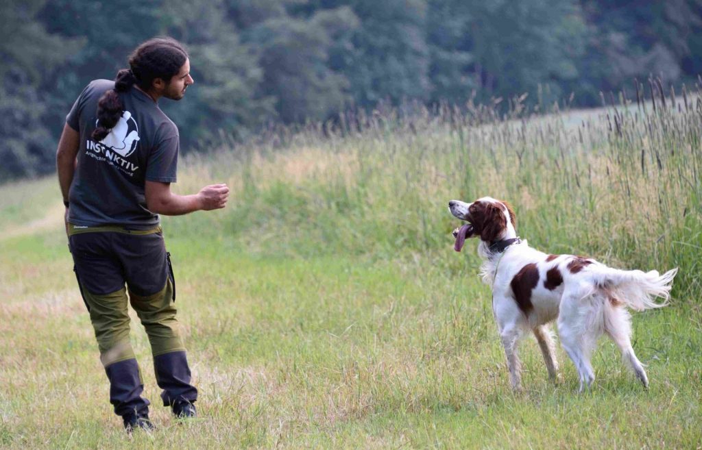 Kommunikation zwischen Mensch und Hund Natural Dogmanship®