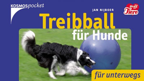 Treibball für Hunde Natural Dogmanship®